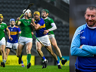 'This Limerick can emulate wha...
